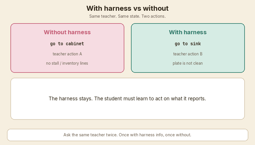 Same teacher, two actions. Prefer the harness one. Drop the pair if it fights the records.