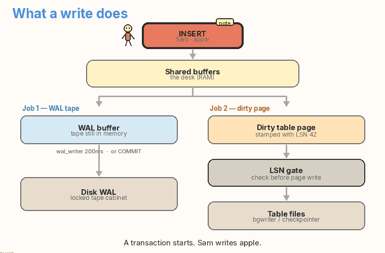 A write lands in shared buffers, then WAL and a dirty page run in parallel. An LSN gate checks WAL before the table page may hit disk.
